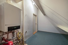 Foto Wespendief 4 Tollebeek 51.jpg